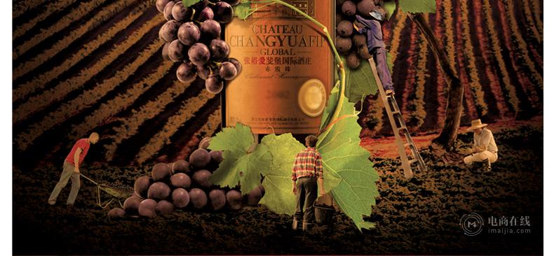 G20同款亮相天猫酒水节,张裕这样做电商!-天下