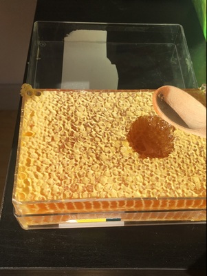 蜂蜜巢