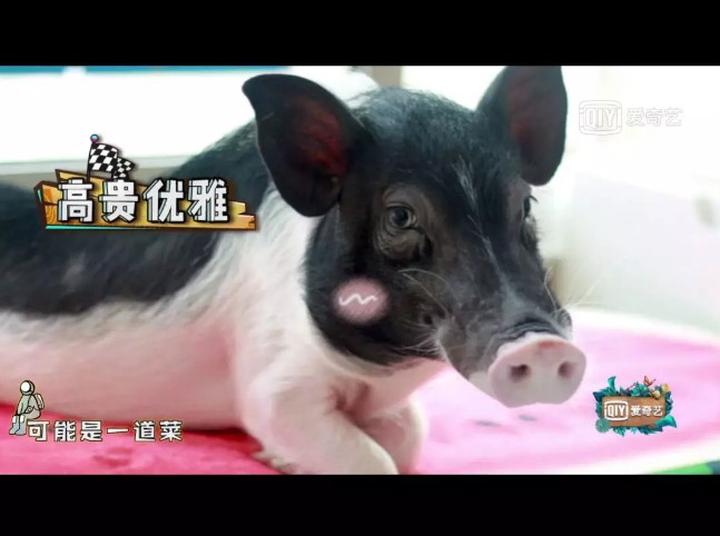 阿里旺旺图片20180702114005