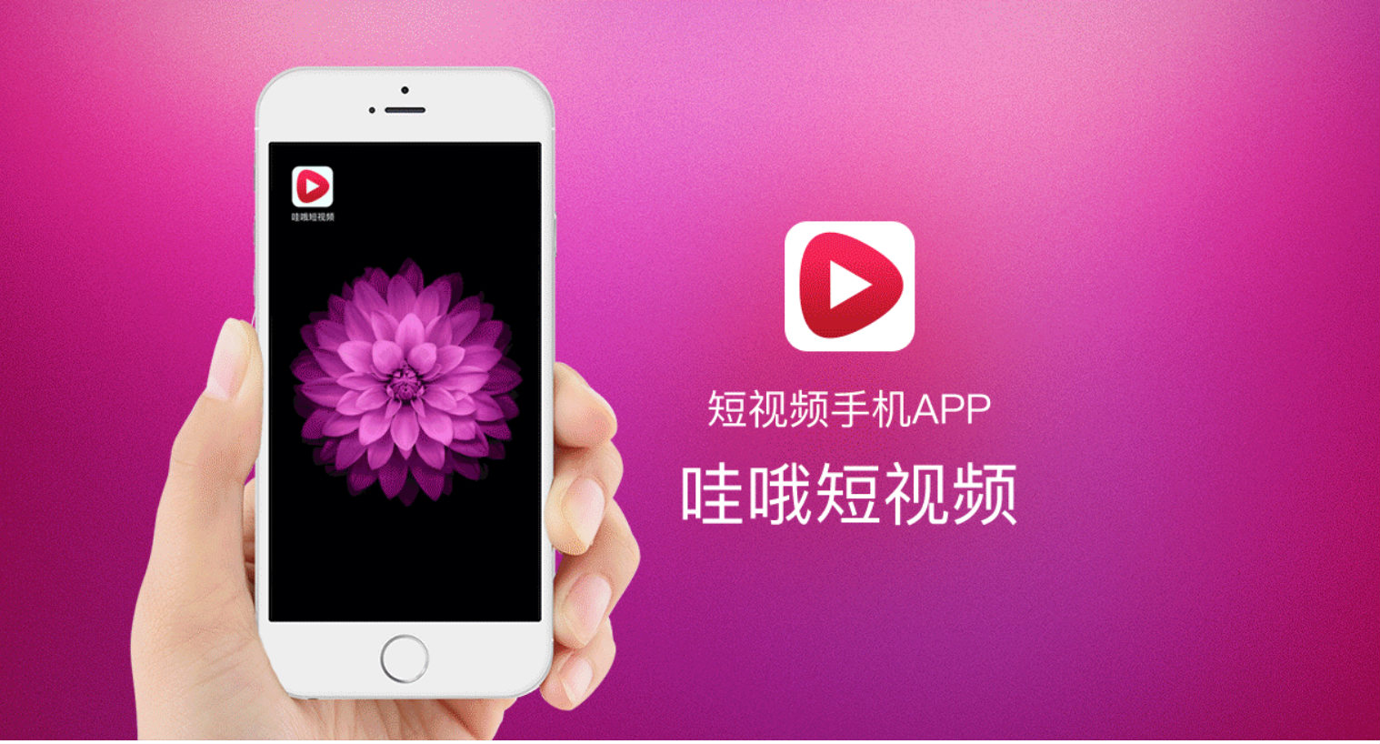 抖音快手电商加速,淘宝的哇哦视频此刻交出了