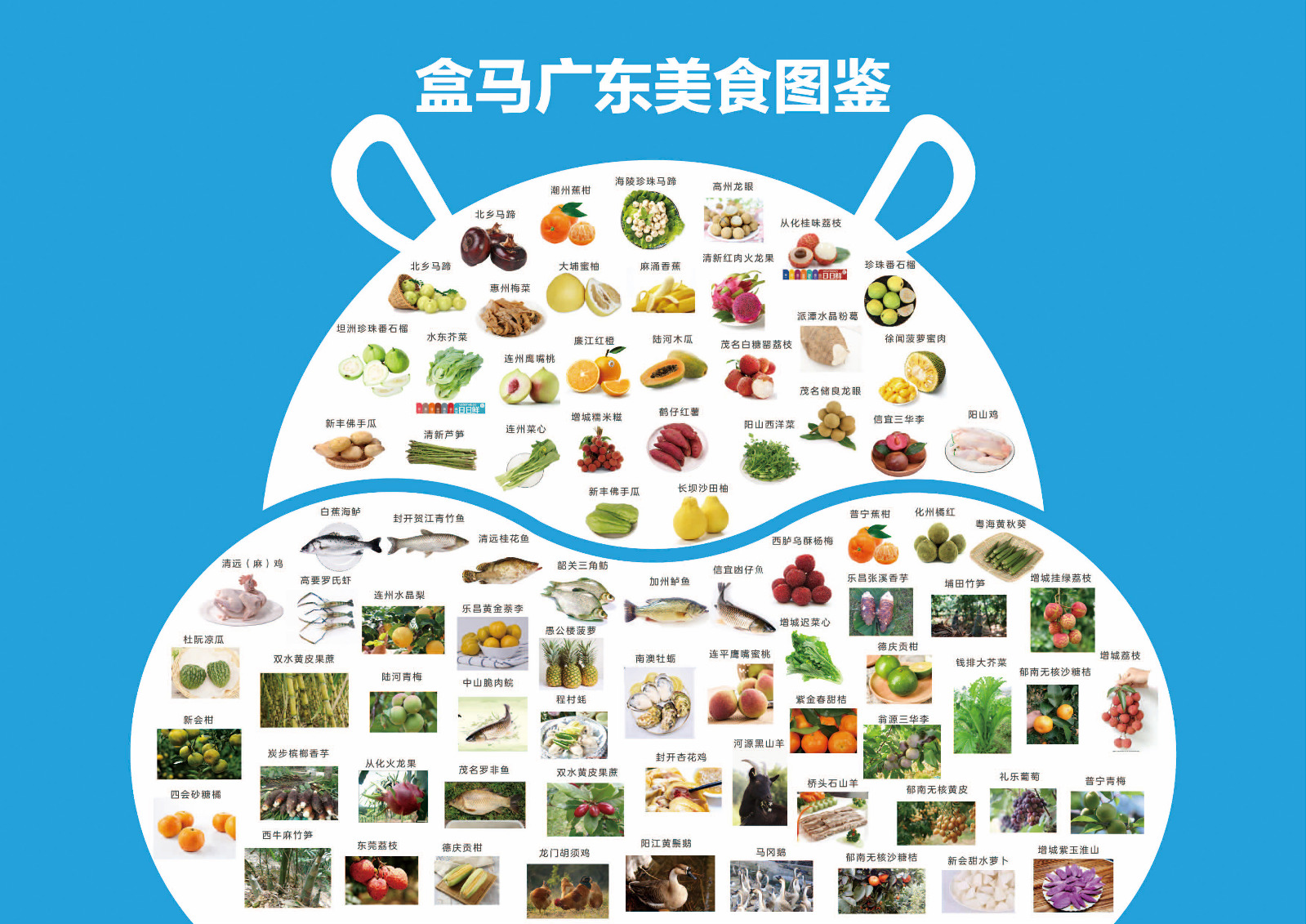 盒马广东美食图鉴_meitu_12